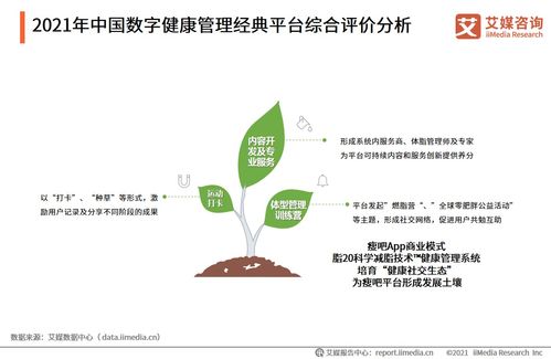 数字健康管理 养生新趋势与投资蓝海2021全景解密
